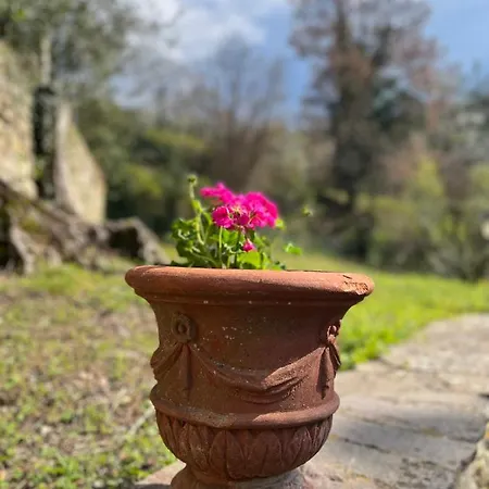 Penzion Podere Cottimellino - - Val D'orcia *