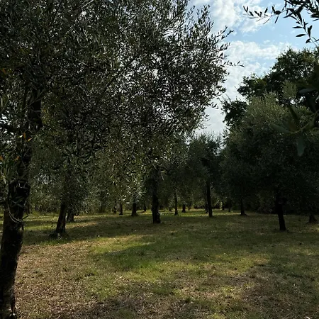 Cottimellino 4*
