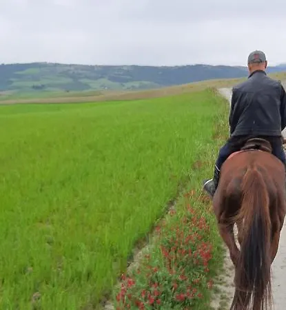 Podere Cottimellino - - Val D'orcia Pensionat