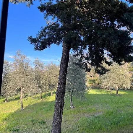 Podere Cottimellino - - Val D'orcia Pensionat