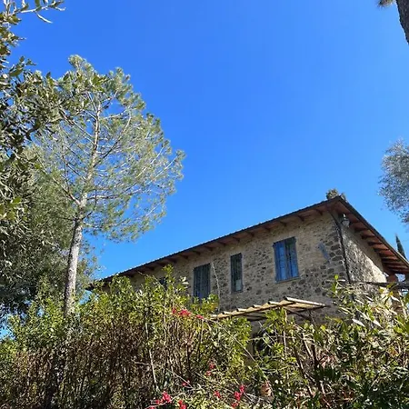 Podere Cottimellino - - Val D'orcia * Montalcino