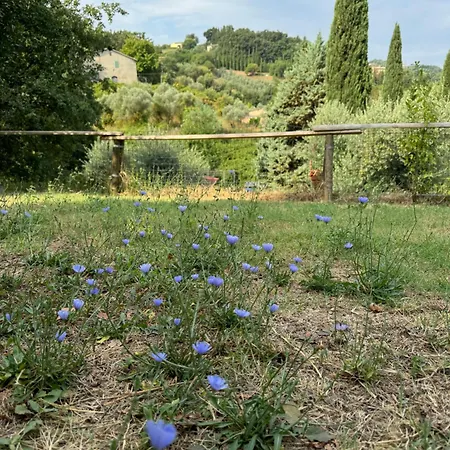 Podere Cottimellino - - Val D'orcia Pensionat *