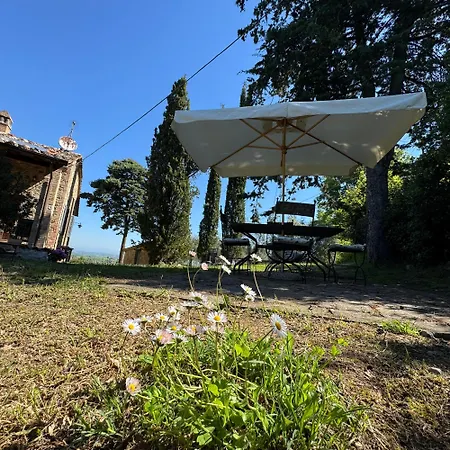 Podere Cottimellino - - Val D'orcia Pensionat